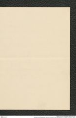 Nachlass Franz Steindachner, Brief von A. Brauer an Franz Steindachner (11.02.1904), Inv.Nr. 53.01, Seite 3